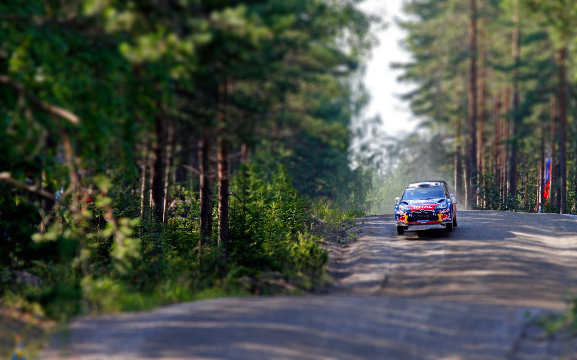 citroen ds3 rally wrc tilt-shift foresta corsa vola velocità alberi