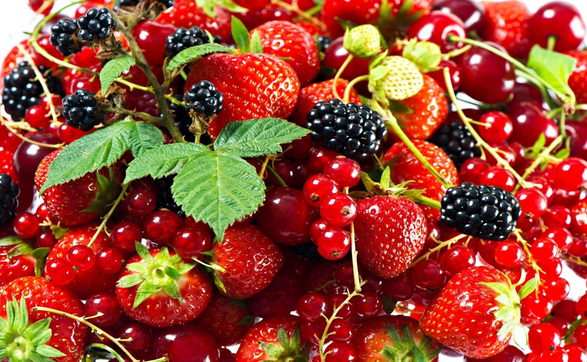 beeren erdbeeren rote johannisbeeren brombeeren vitamine