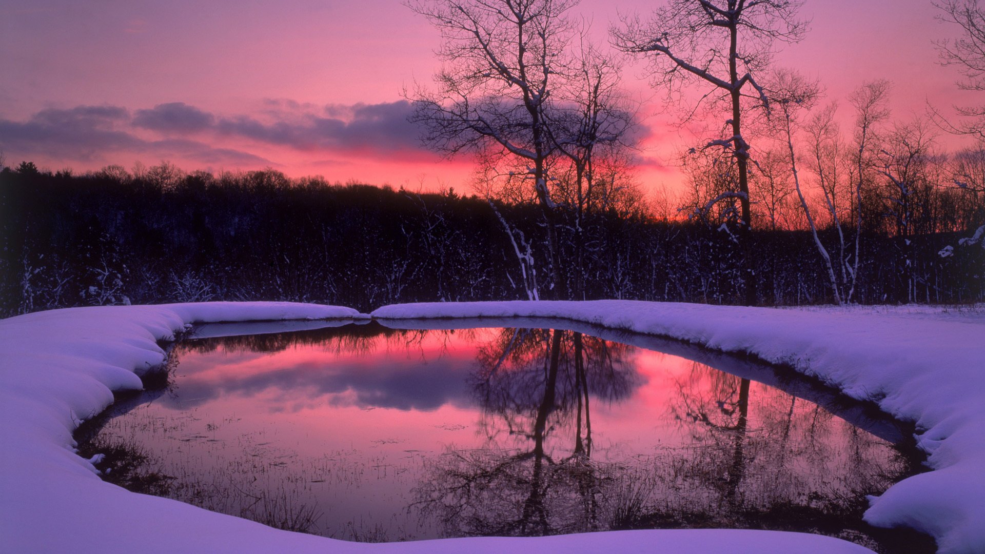 neve inverno foresta sera alberi lago