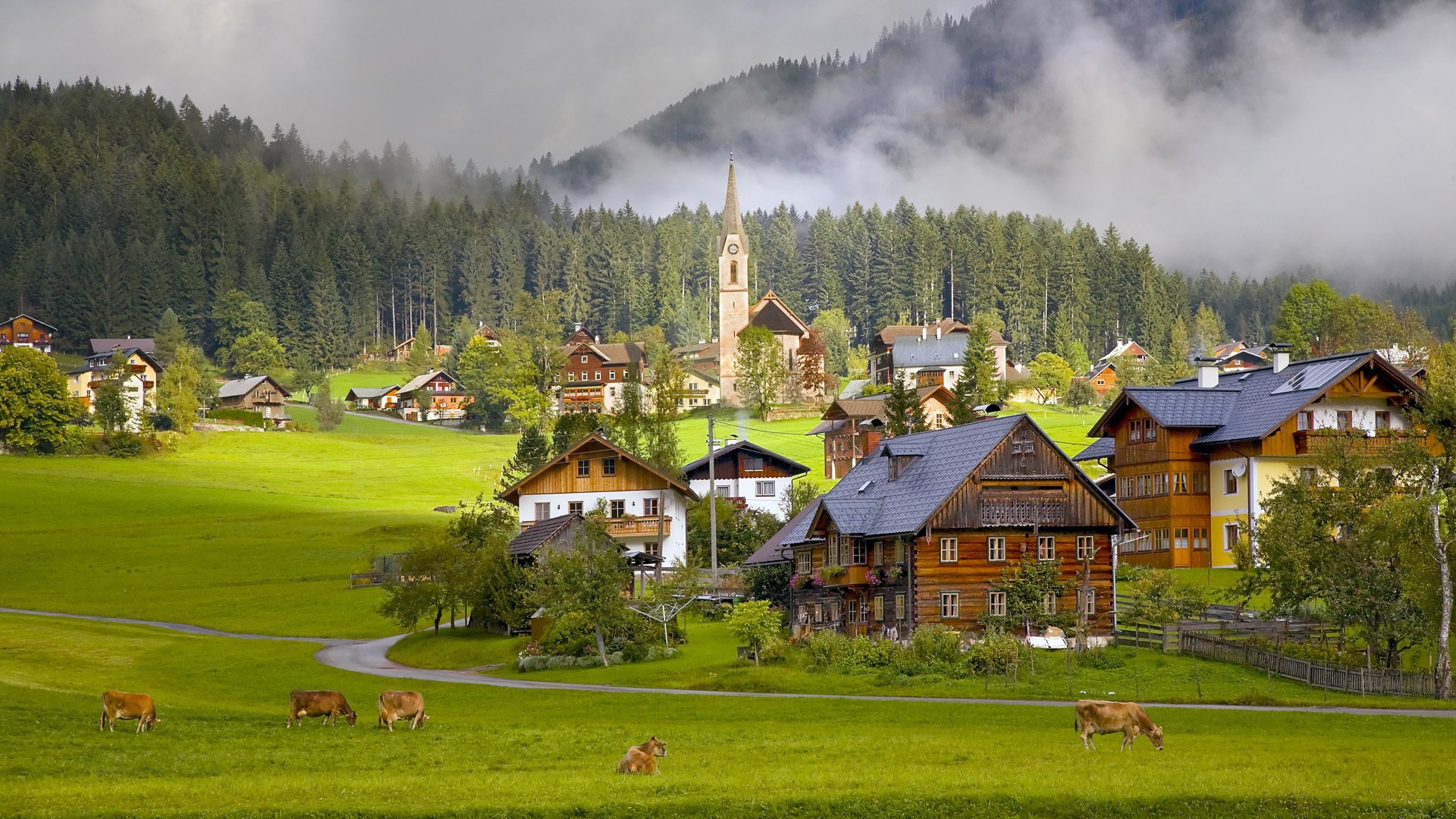 gosau village österreich häuser kühe land österreich