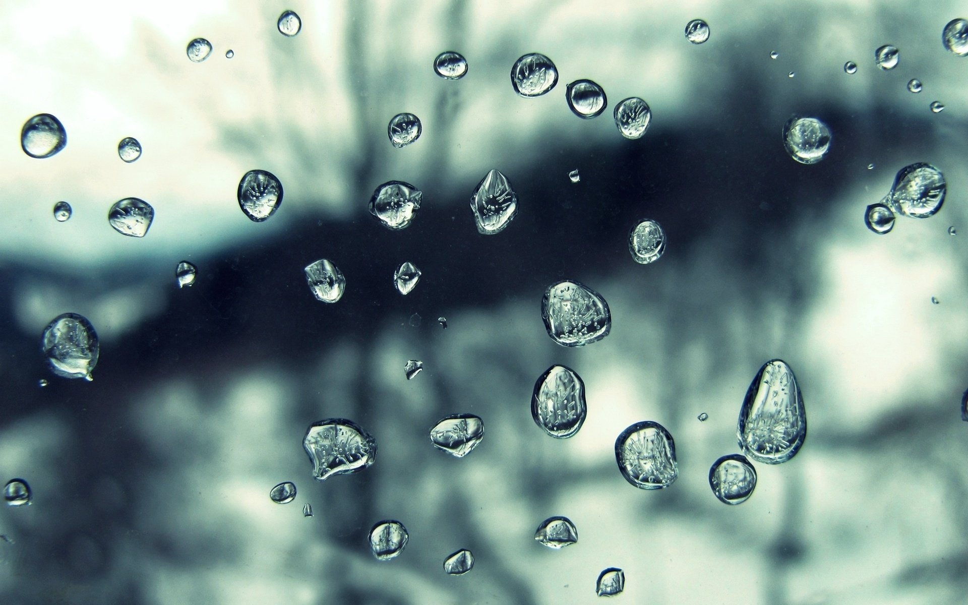 macro textura gotas lluvia agua