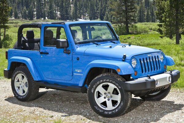 Blue car in the forest on the road