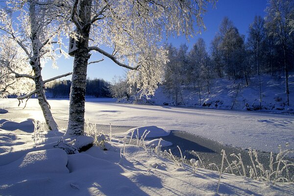 Winterlandschaft: sonniger Tag , Baum im Schnee, eisiger Fluss