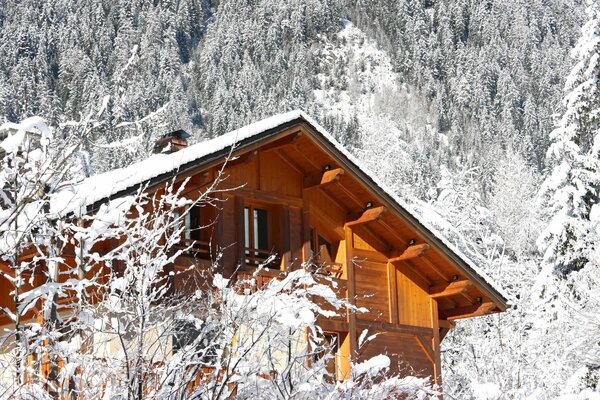 Acogedora casa en el bosque cubierto de nieve