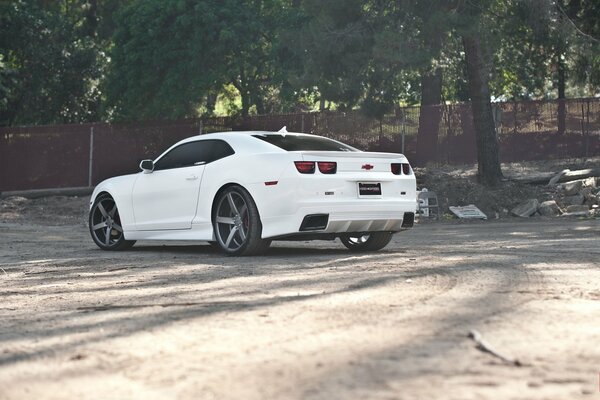 Un Chevrolet blanco en un parque cerca de un árbol