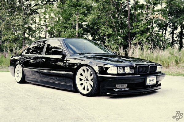 My dream bmw 740 in the woods