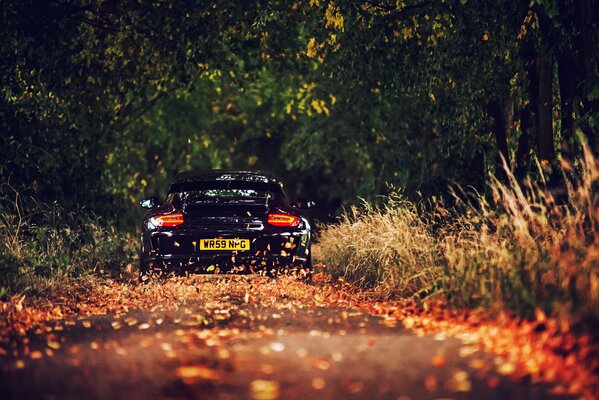 Porsche on the road in the leaves in autumn