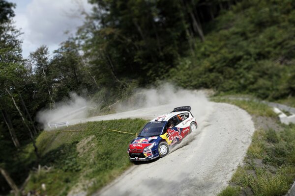 Auto sportiva in competizione. Intorno alla foresta