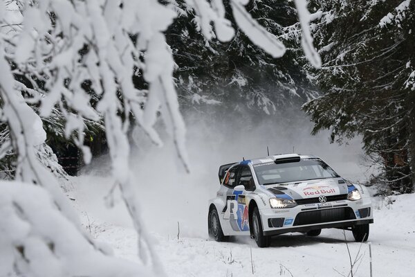 Rallye Volkswagen Polo dans la forêt enneigée