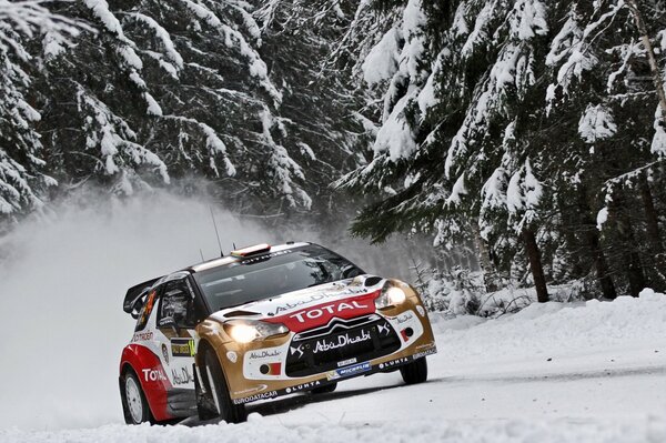 Course dans la forêt sur une belle voiture