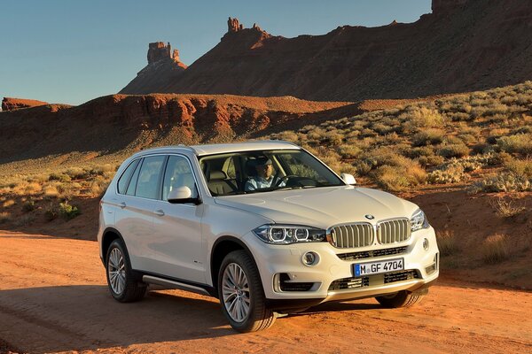 Immagine dell automobile bianca di bmw x5 xdrive30d in montagna