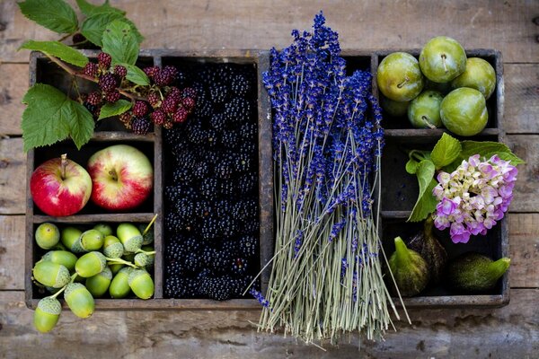 Baies, fruits et fleurs dans une boîte en bois