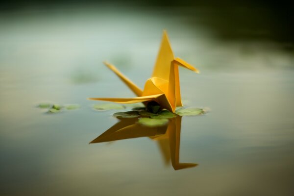 Jürvlik origami sur l étang