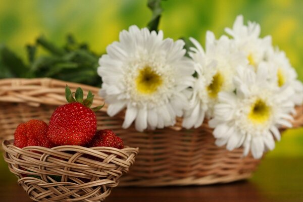 A large wicker basket with white daisies and a small basket with strawberries