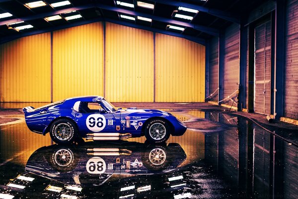 The mirrored floor in which the Daytona cobra is reflected