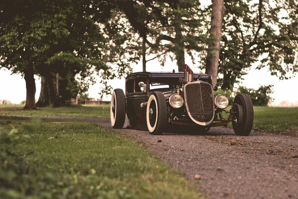 Ford raro en el camino en el bosque