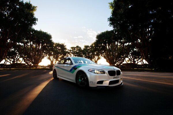 Bmw blanc sur fond d arbres