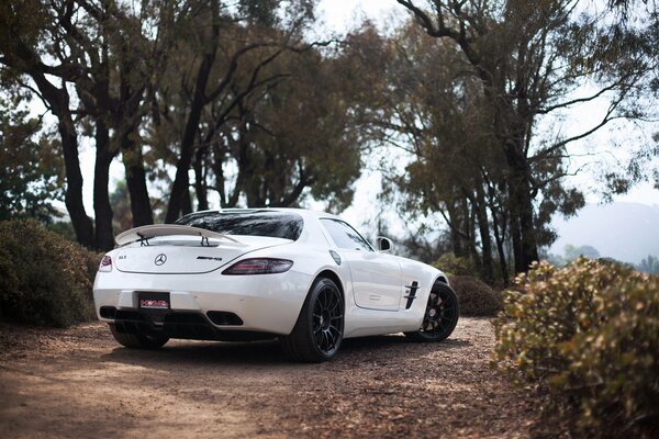 White mercedes benz in nature