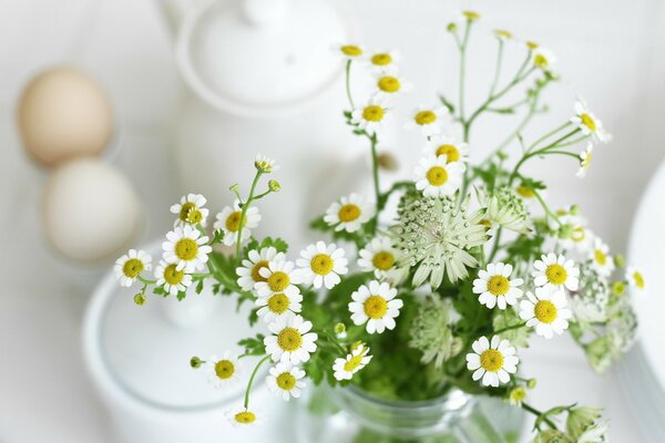 Bouquet di margherite di campo su uno sfondo di piatti bianchi