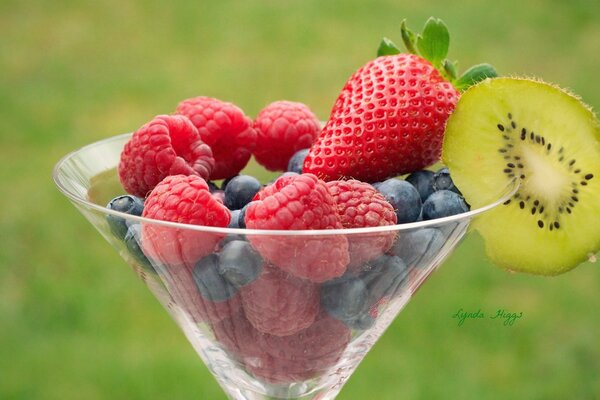 Saisonale Sommerbeeren in einem Glas