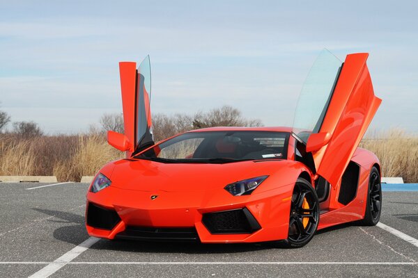 Lamborghini with open doors guillotine