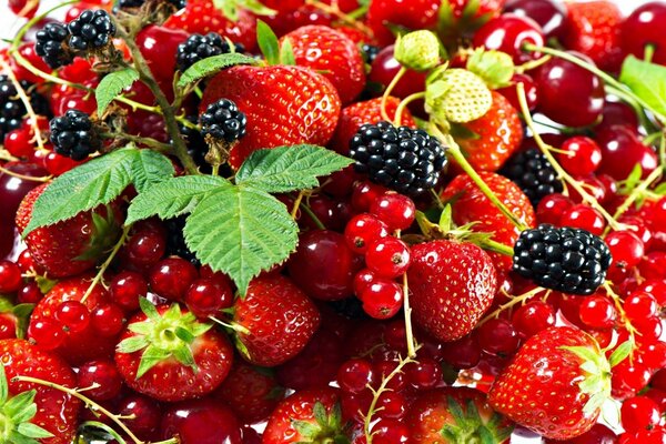 A mix of fresh and delicious berries