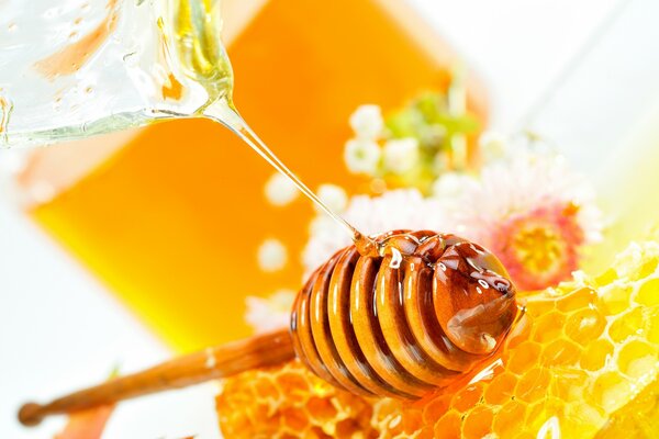 A spoonful of honey. Honeycomb