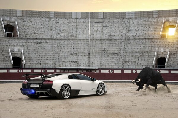 Lamborghini murcielago LP670-4 sv in a track with a bull
