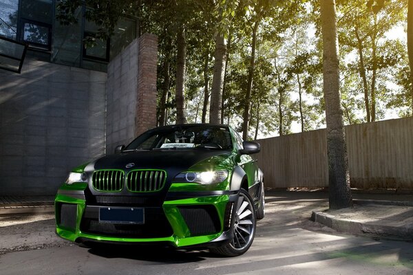 Voiture BMW noir et vert sur fond d arbres