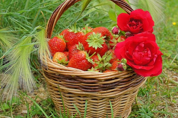 Wooden basket with strawberries and roses