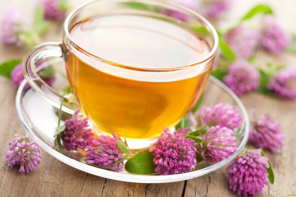 Chamomile tea with clover on a saucer