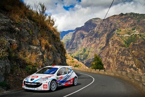 Peugeot blanco en una curva en una carretera de montaña en verano