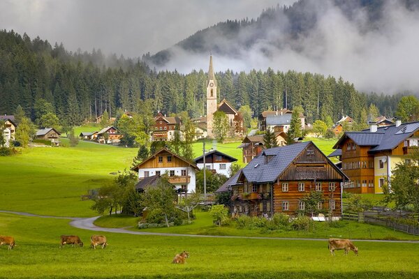 Village en Autriche où paissent les vaches