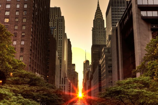 The setting sun between the buildings