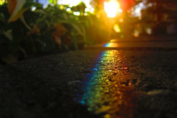 Der Regenbogen auf dem Asphalt ist eine Reflexion des Lichts