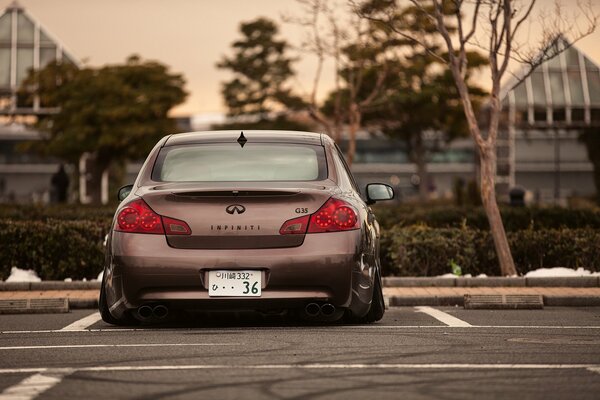 Infinity in the parking lot under a tree