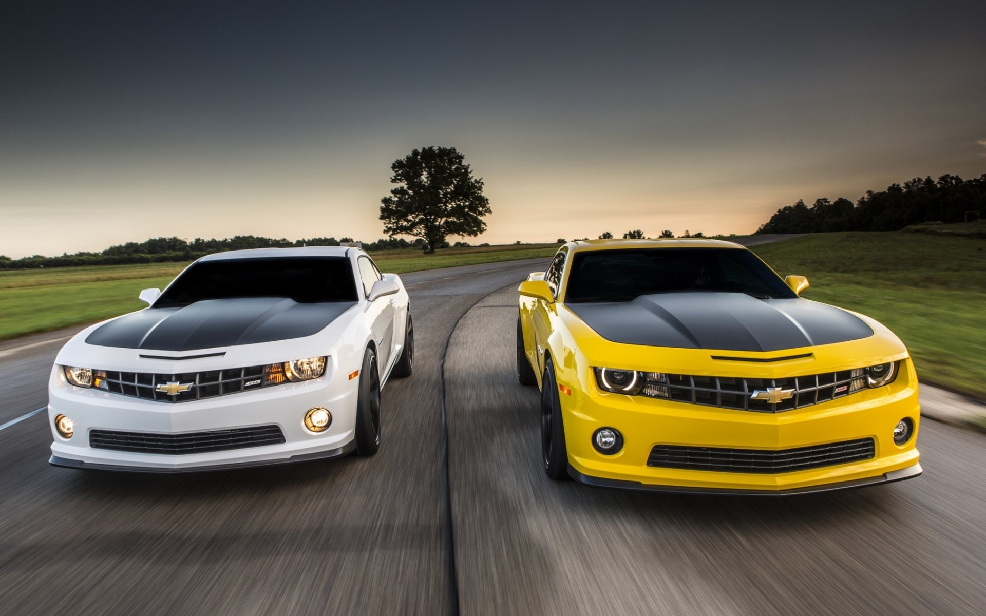 chevrolet camaro 1le chevrolet camaro amarillo blanco delantero coche del músculo coche del músculo carretera cielo