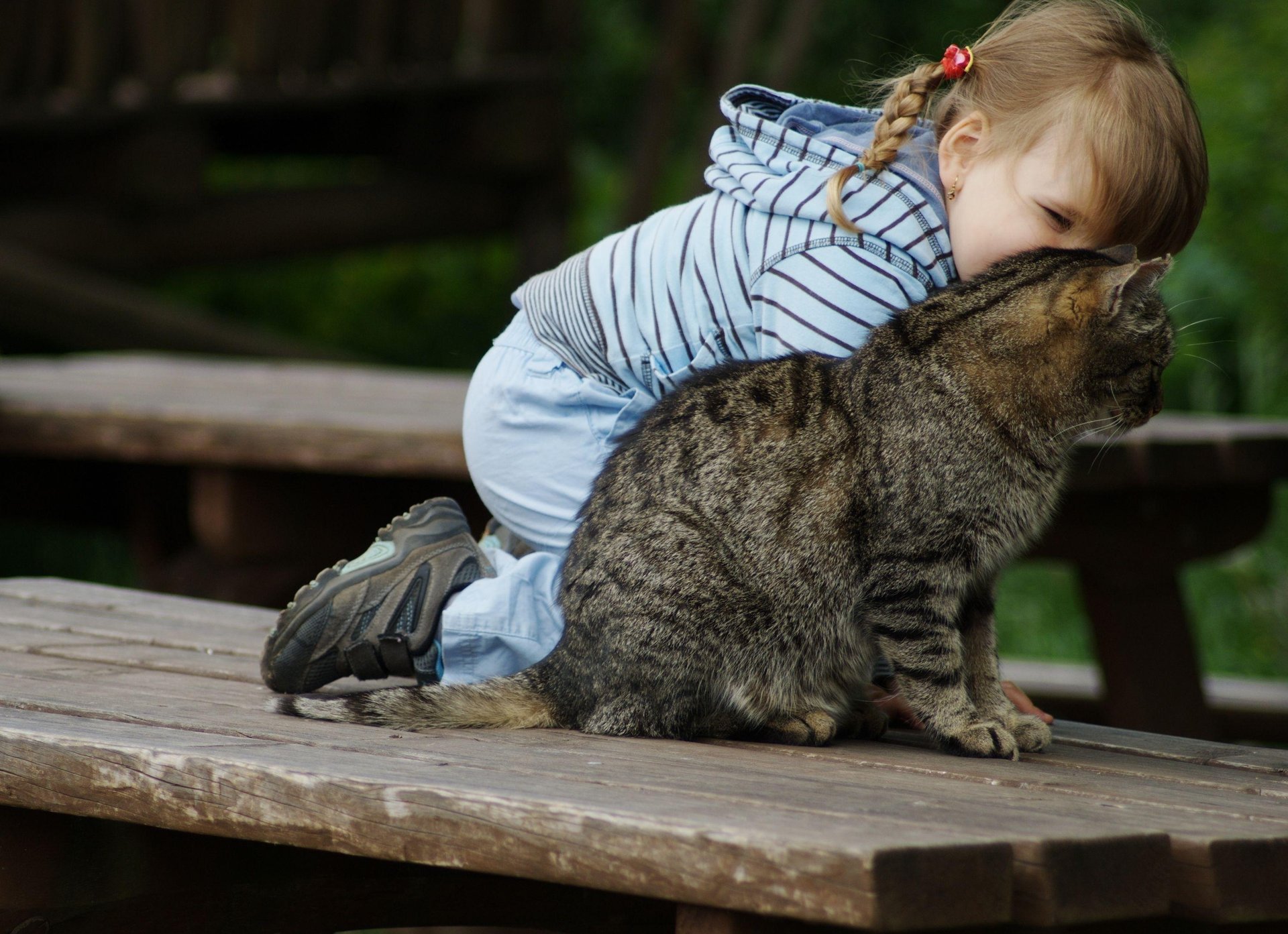 queue de cochon chat bébé enfant sourire chat fille fille enfant