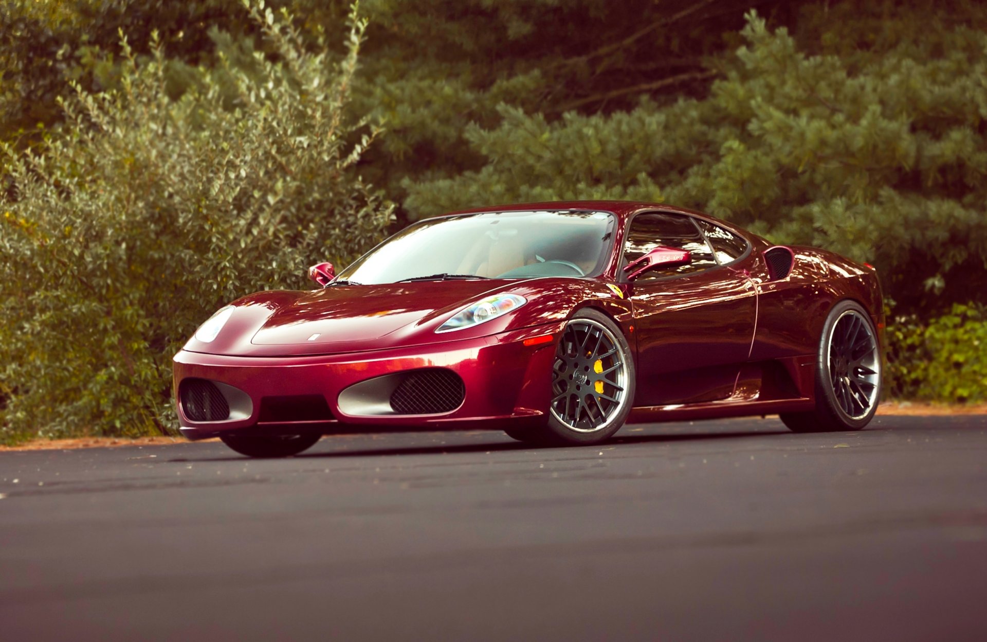 ferrari f430 car machinery tuning tree forest