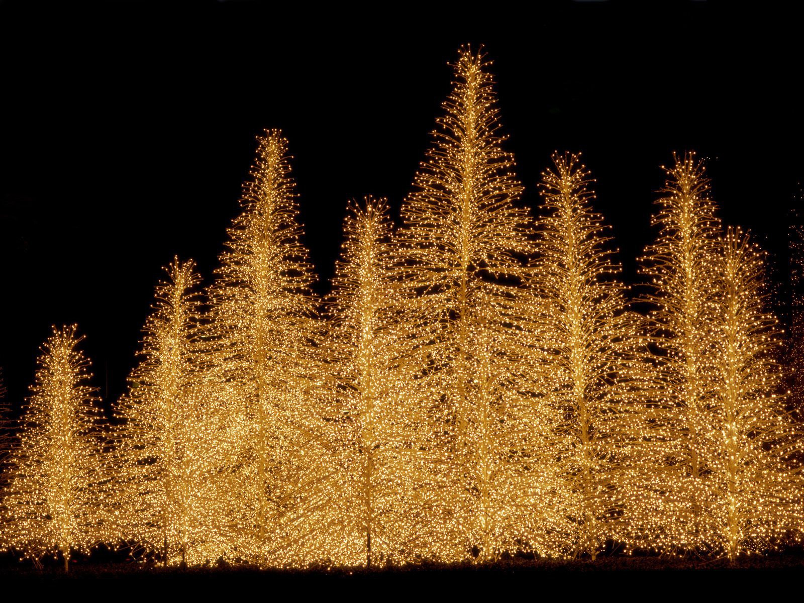 albero di natale luci capodanno natale