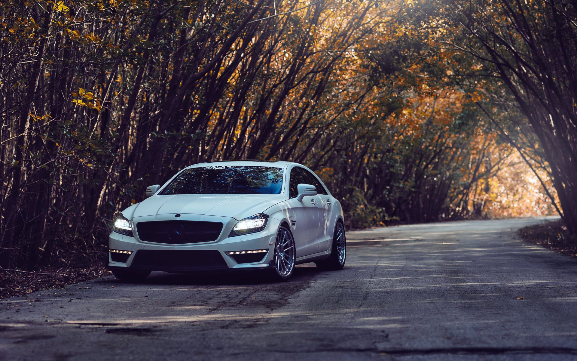 mercedes cls 63 amg mercedes tuning road tree