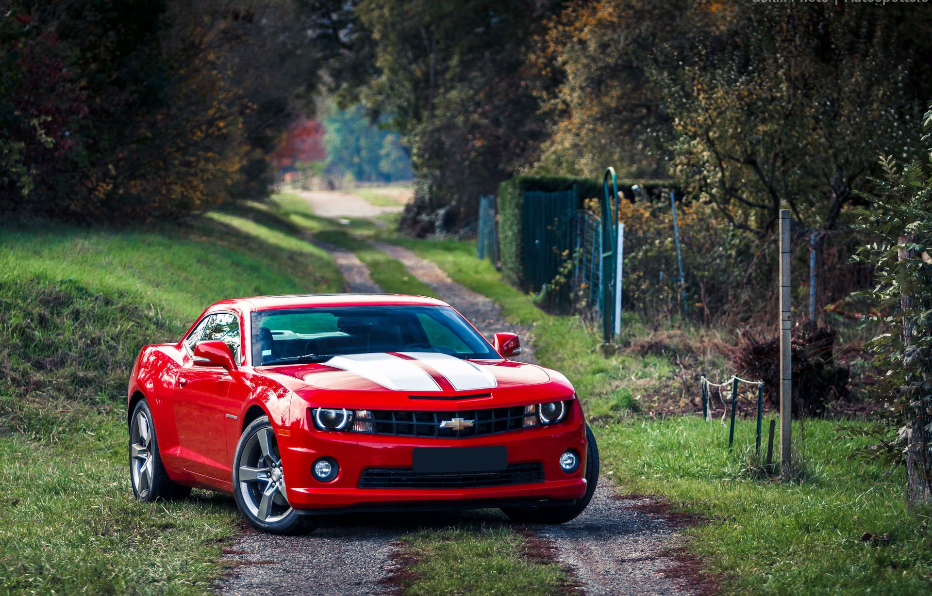 chevrolet camaro muscle car rojo chevrolet camaro muscle car rojo