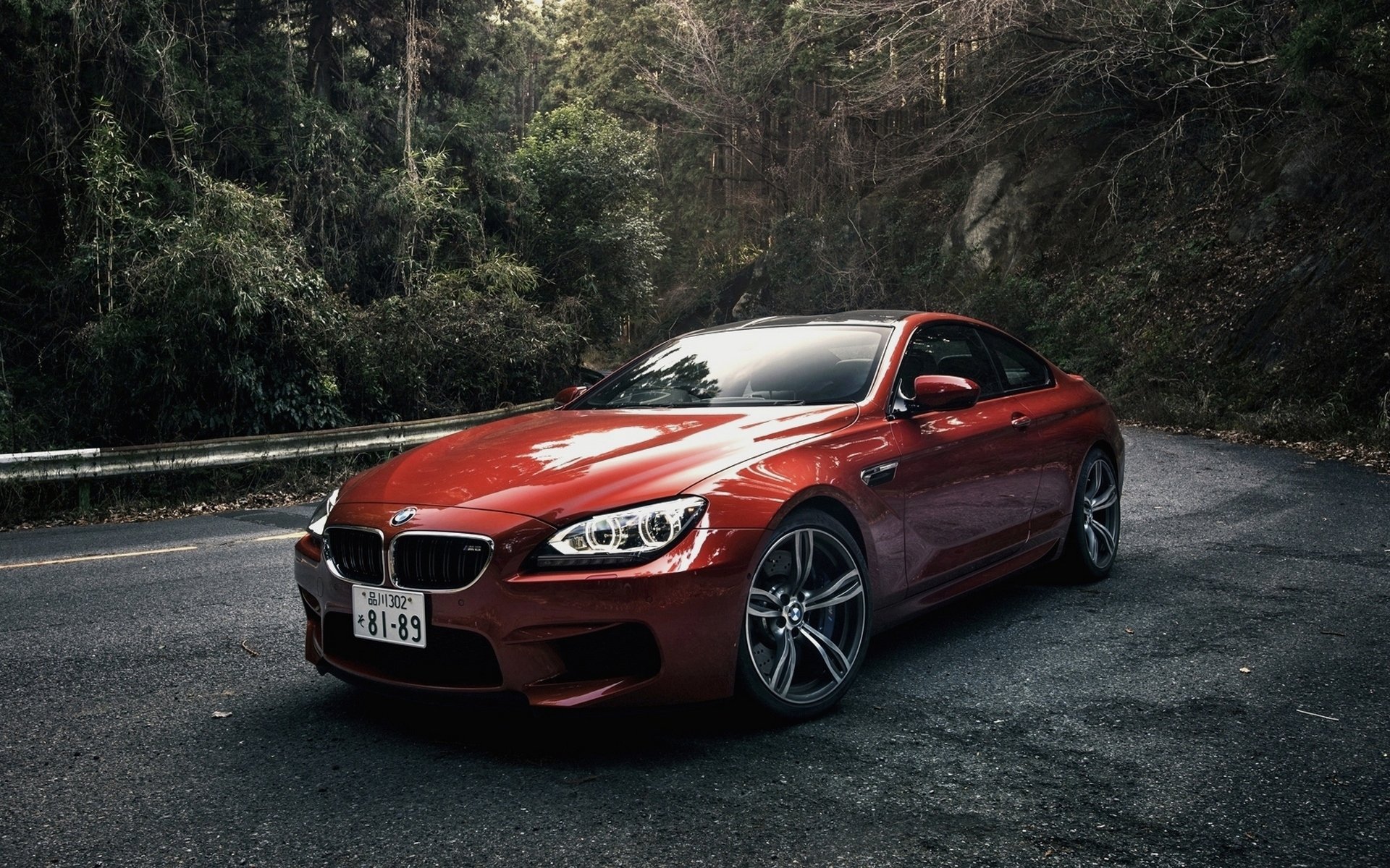 bmw m6 coupe japón spec naranja bmw m6 naranja coche bosque