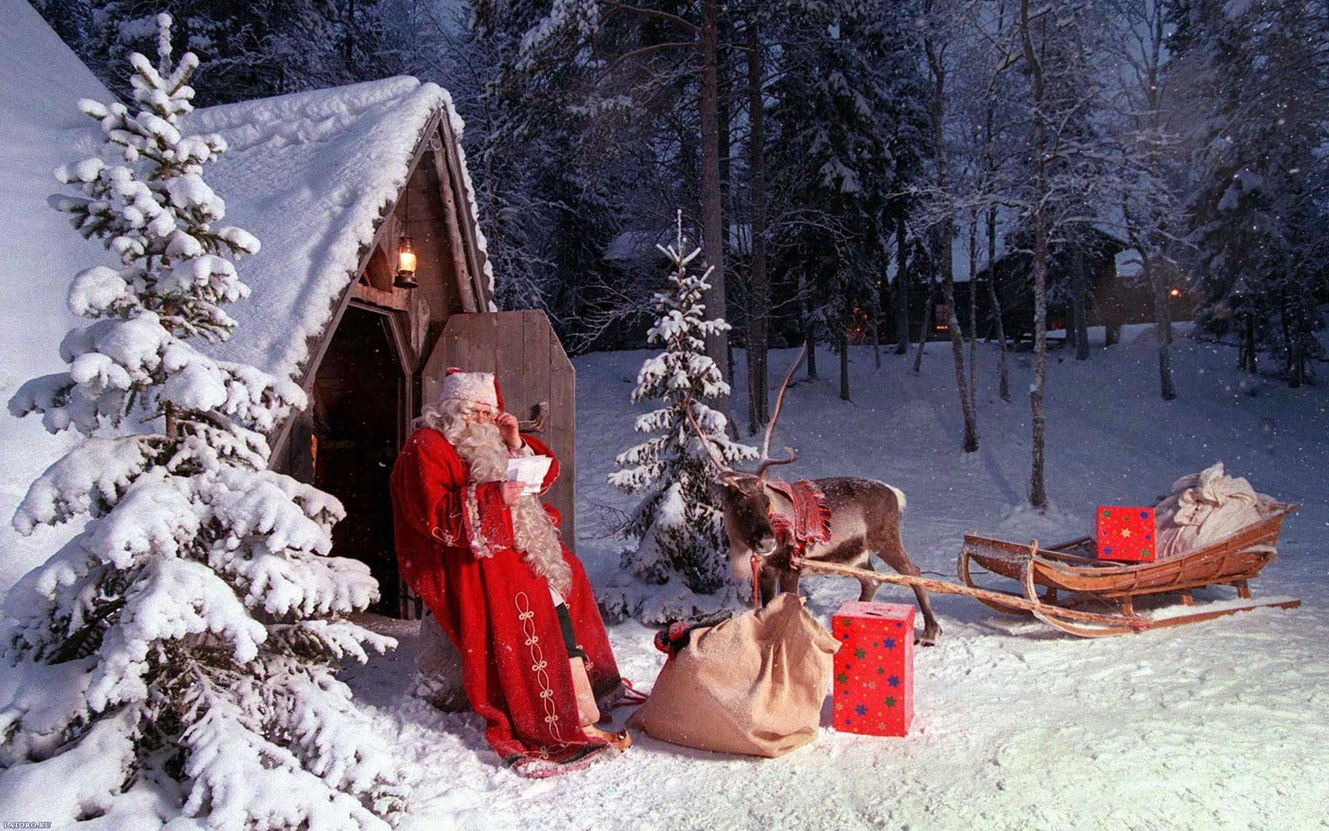 renos santa claus invierno año nuevo navidad