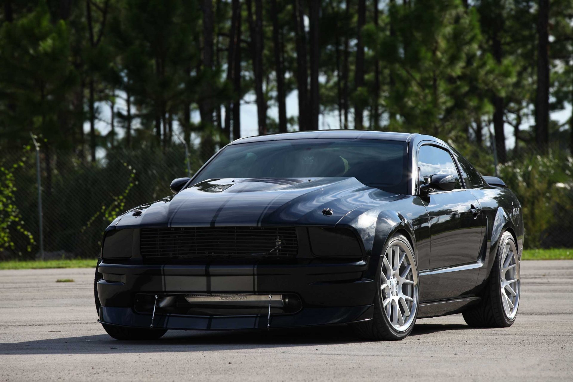 ford mustang black trees stripes reflection