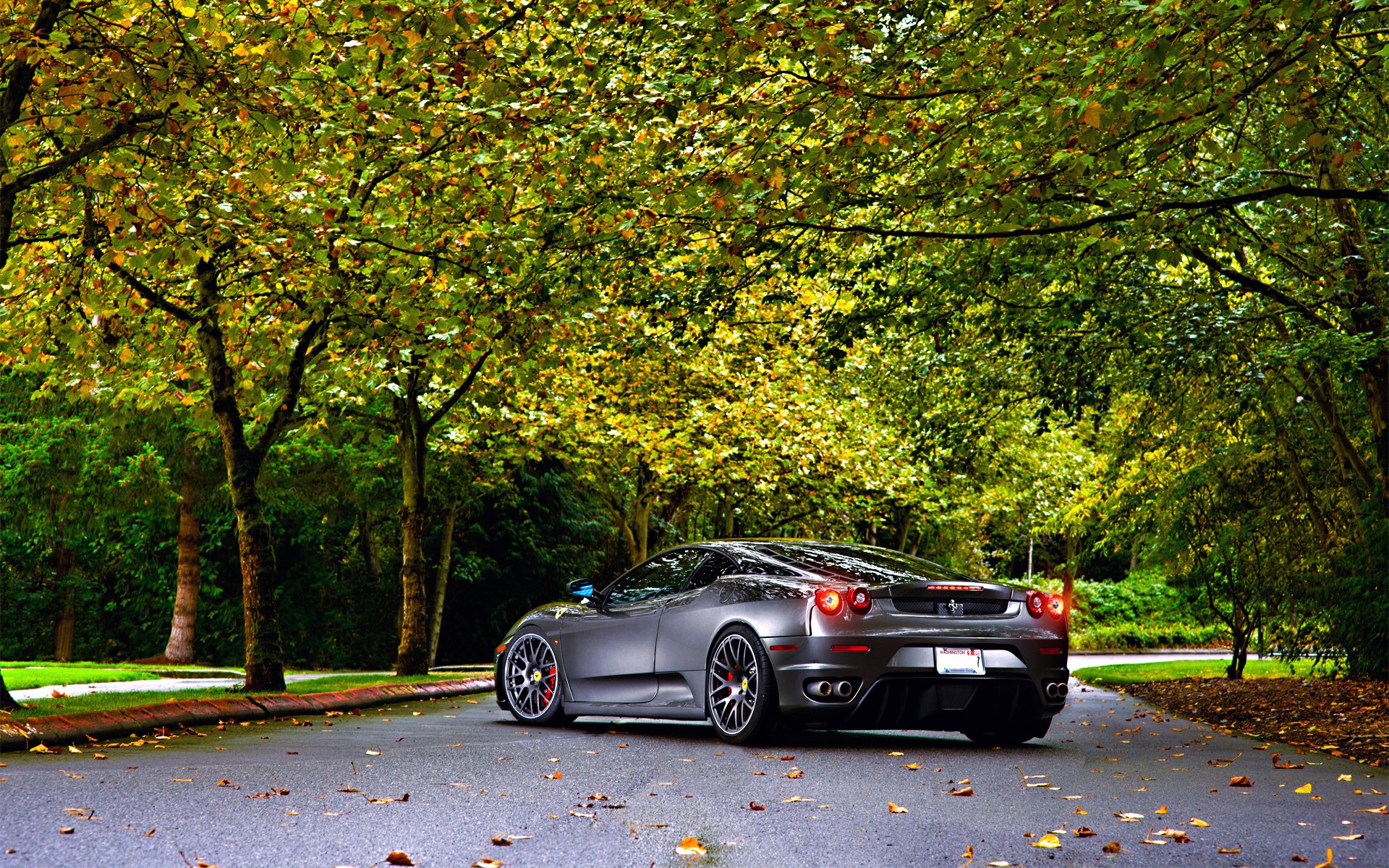 ferrari tuning argent roues automne arbres feuille vert asphalte