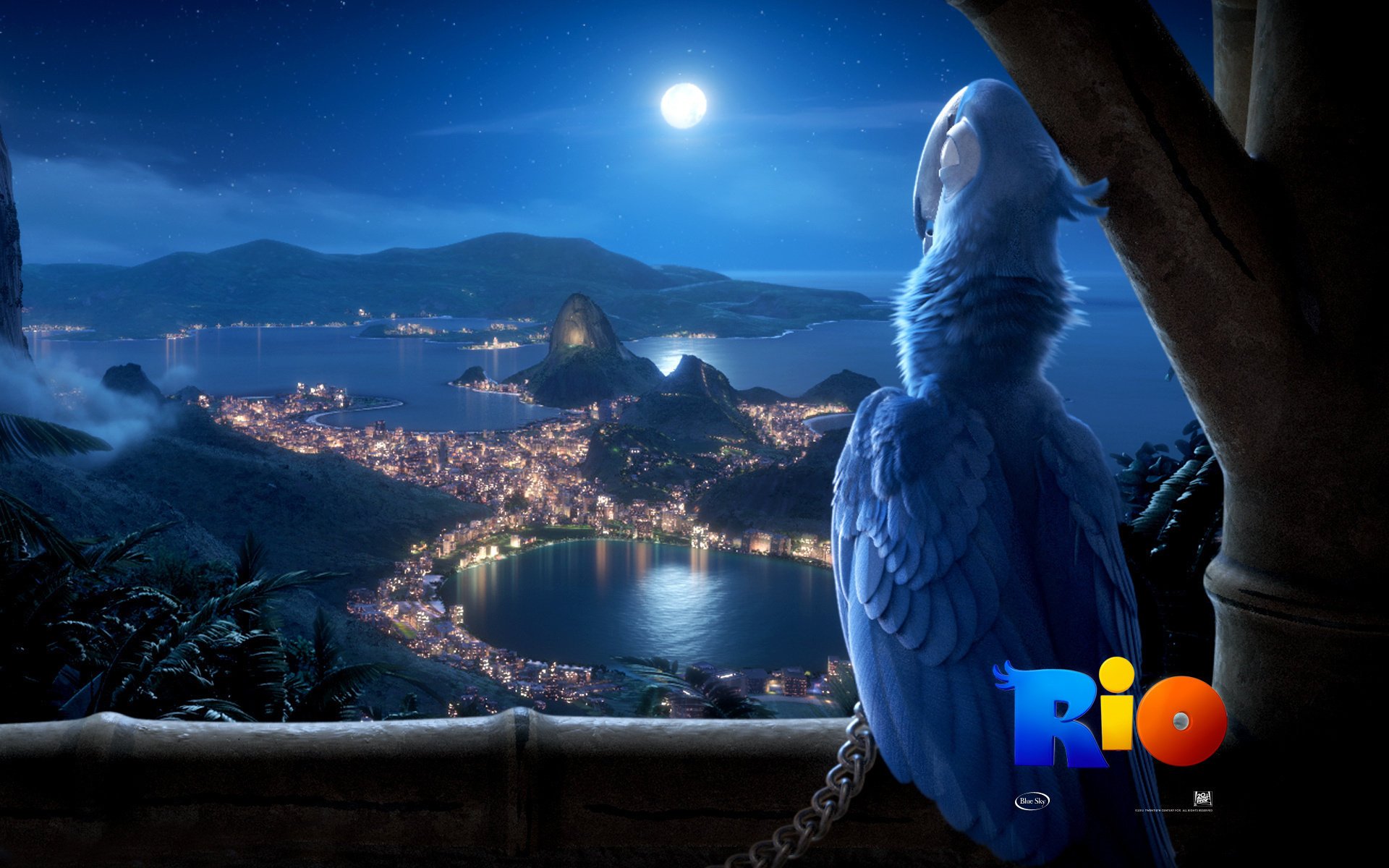 blick auf rio de janeiro cartoon vogel rio