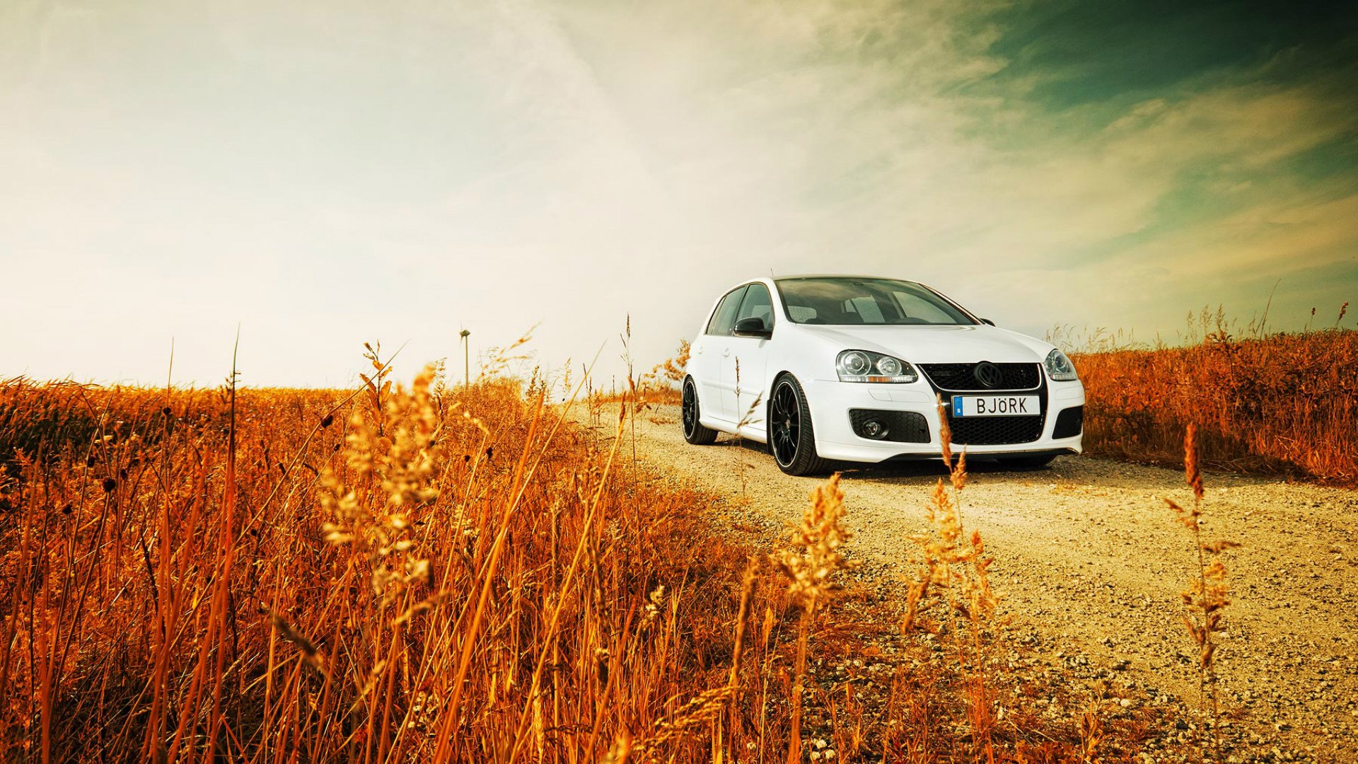 volkswagen golf volkswagen straße natur gras