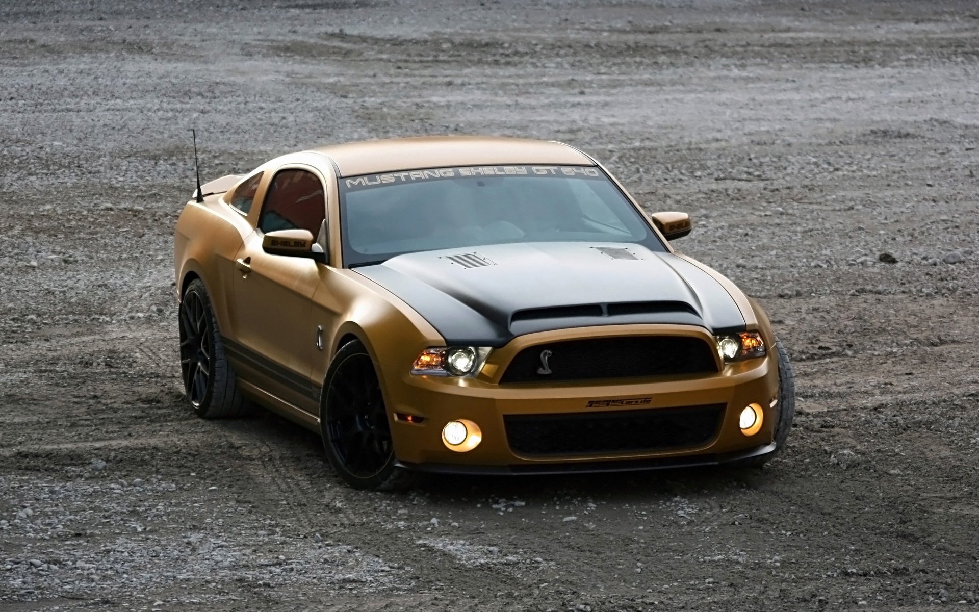 gt640 serpente d oro cars auto shelby ford mustang