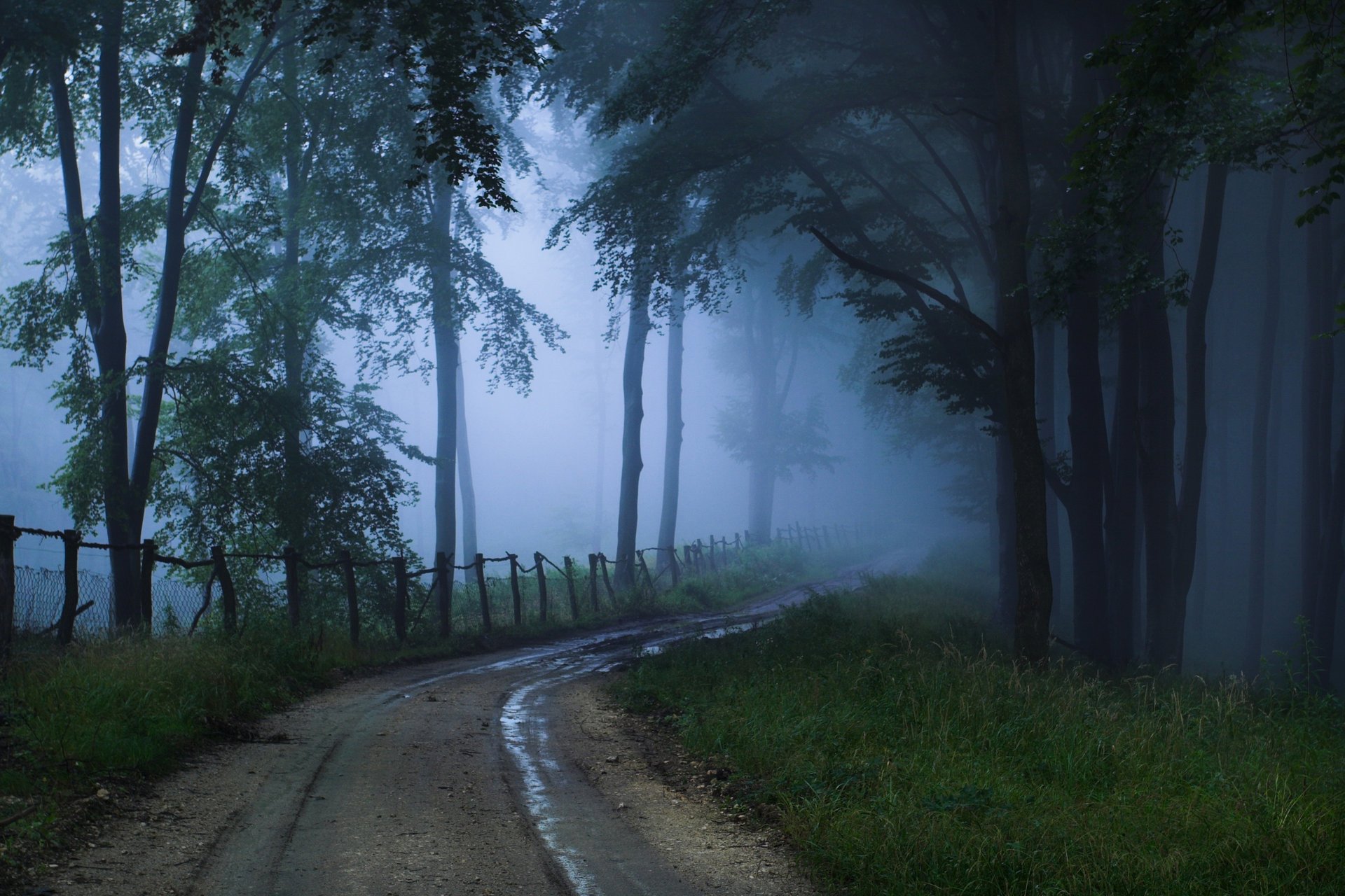 the unknown road fog